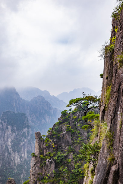 黄山印象矢量图