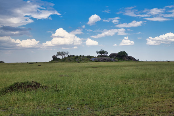 serengeti