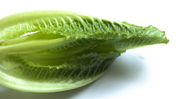 romaine