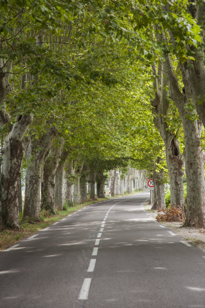 avenue