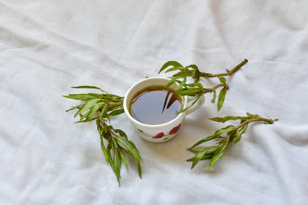 传统中医药草药植物之小茴香