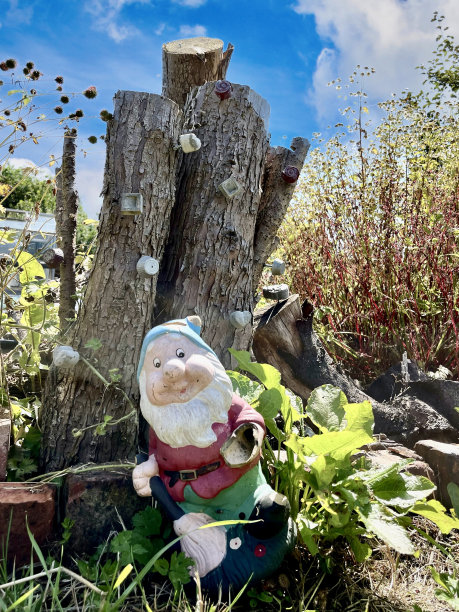 gnome