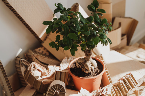 节能环保包装盒