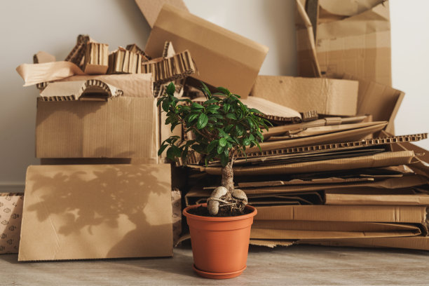 节能环保包装盒