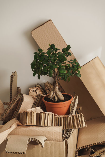 节能环保包装盒