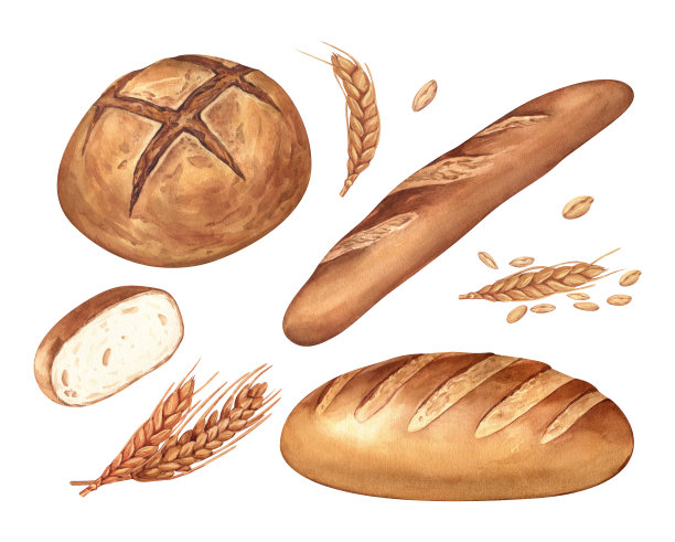 法式可颂面包水彩插图
