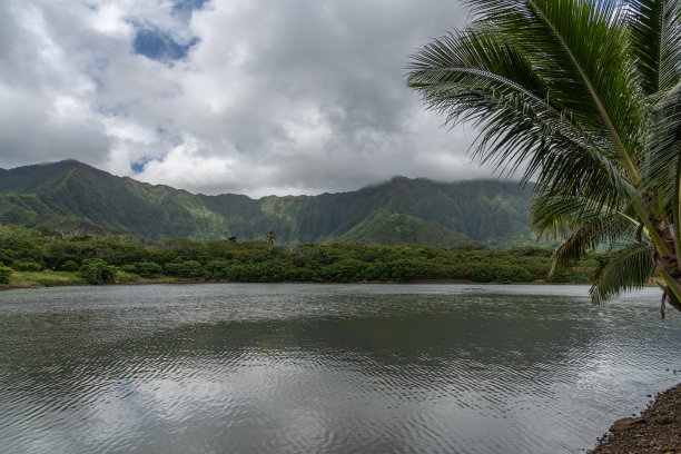 aloha