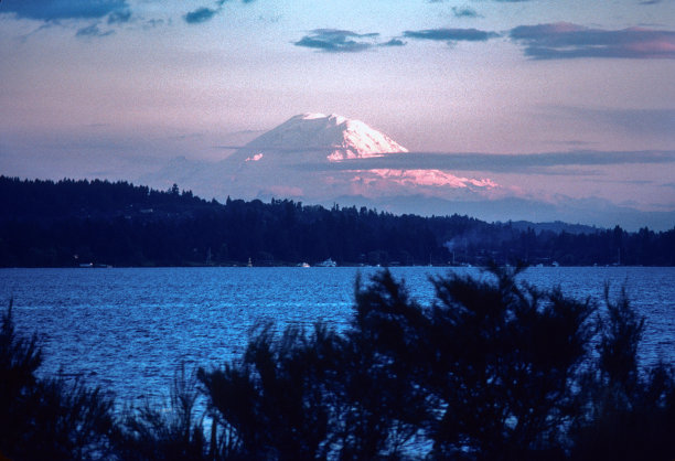 1979