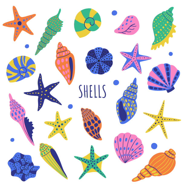贝壳海螺创意插图