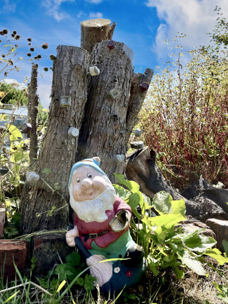 gnome