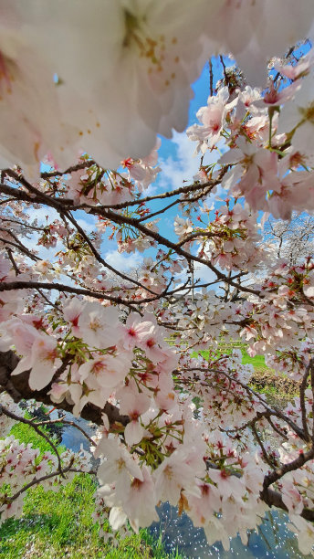march