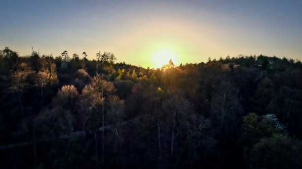 fpv