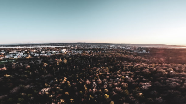 fpv