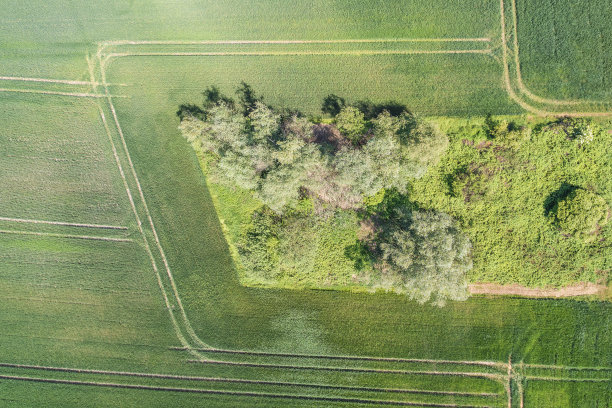 无人机研学实践