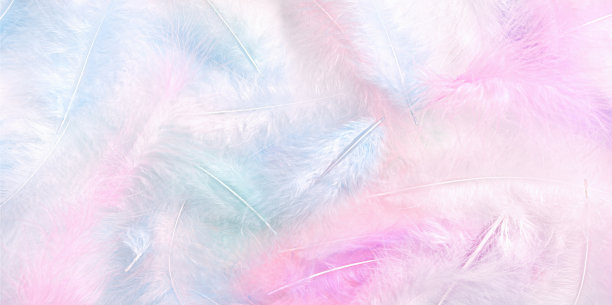 plumage