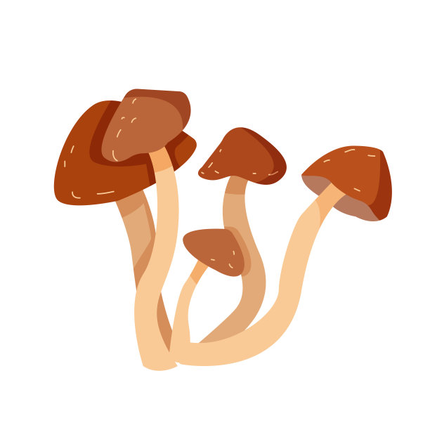 香菇logo