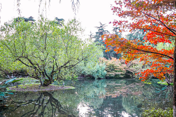 武汉东湖风光全景图