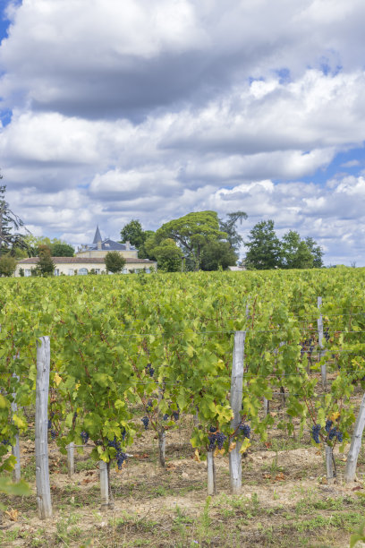 bordeaux