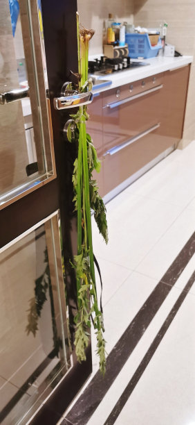 wormwood