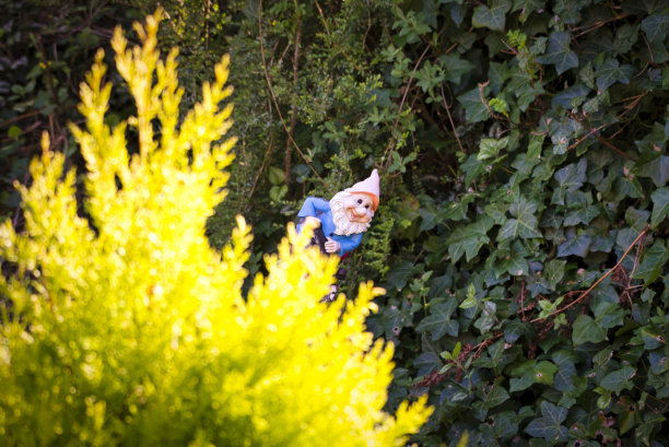 gnome