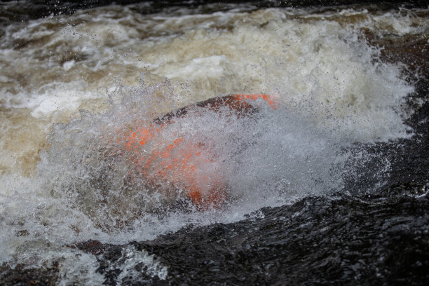 rapids