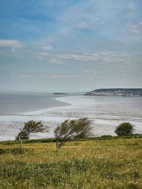 somerset