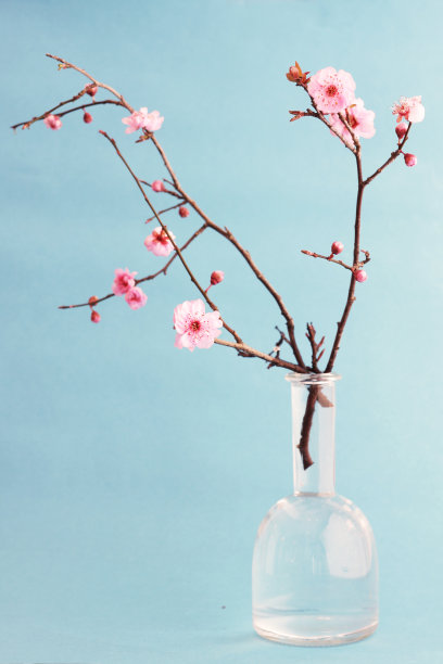 branches