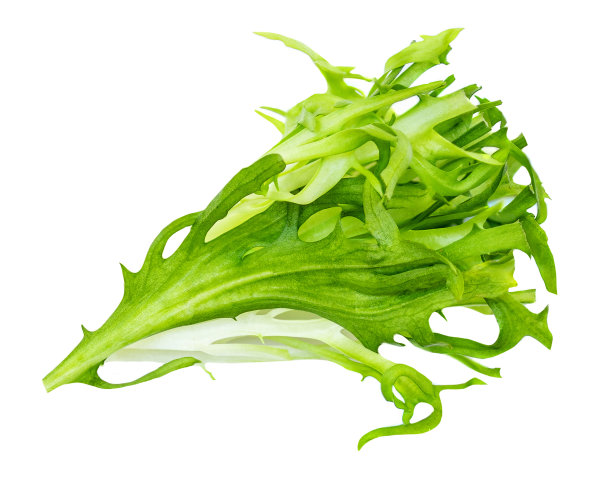 romaine