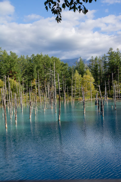 fen