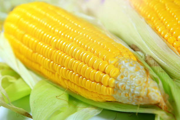 maize