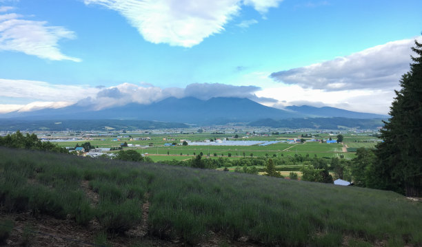 日本北海道雪中宁静村庄