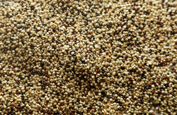 quinoa