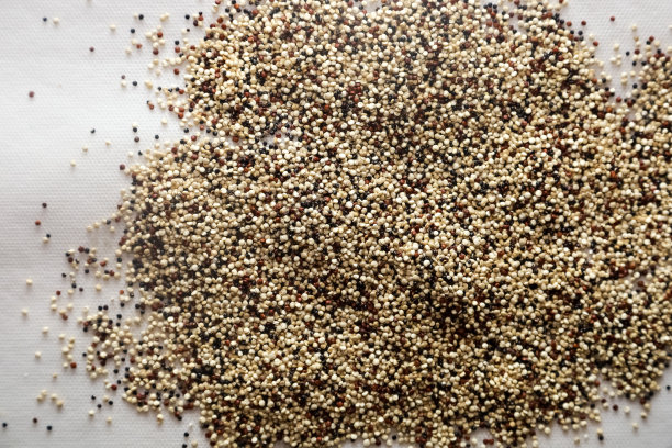 quinoa