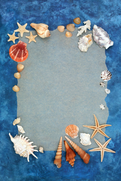 conch