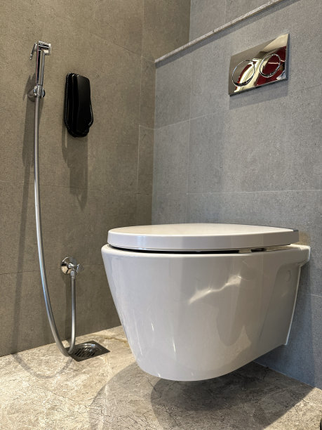 bidet