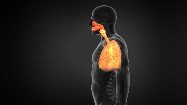 thymus