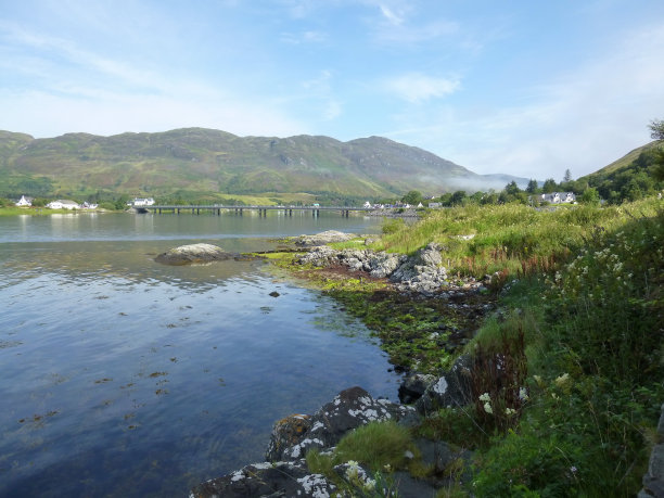 donan