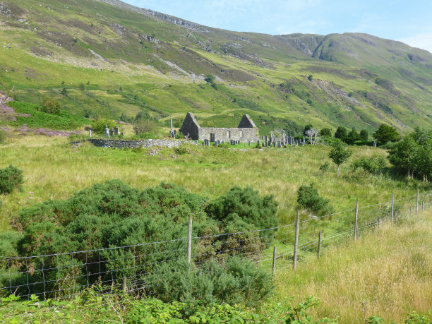 donan
