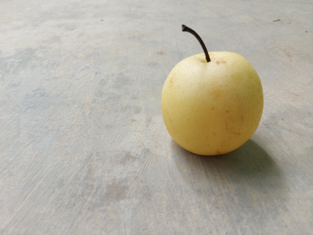 photorealistic
