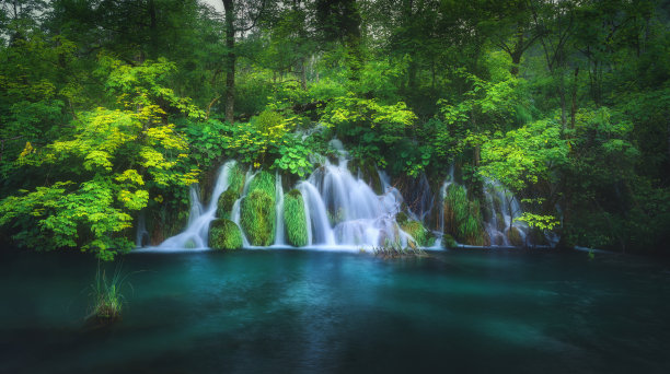 source