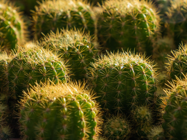 spiked