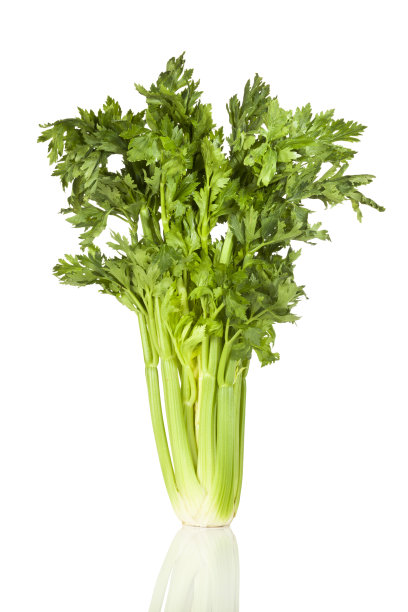 celery