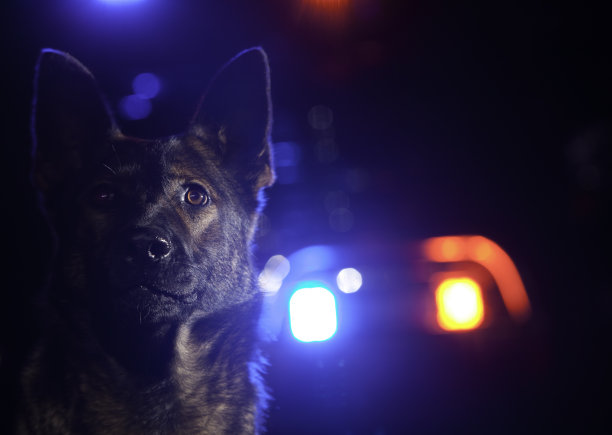 police