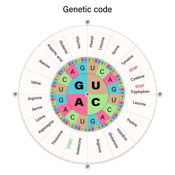 gene