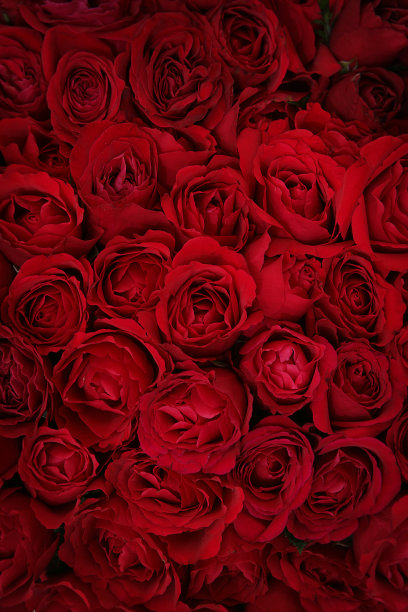 valentines