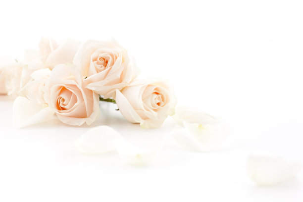 roses