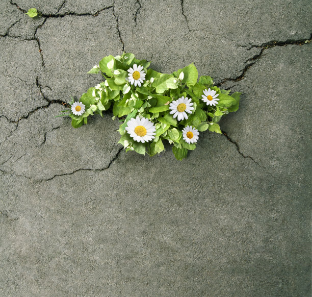 asphalt