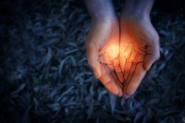 palm