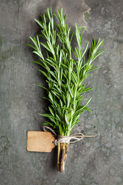 rosemary