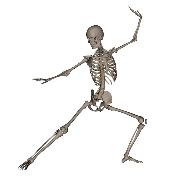 skeleton